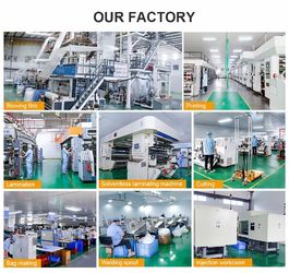 चीन DONGGUAN SEALAND PACKAGING BAG CO., LTD कारखाना