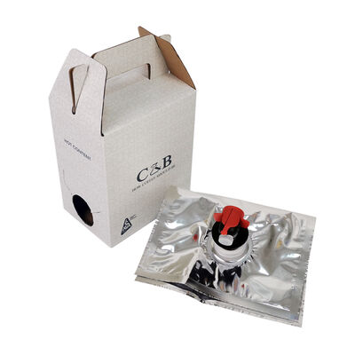 बहुमुखी पैकेजिंग के लिए स्पॉट और हैंडल के बिना बॉक्स में आसान डिस्पेंसर बैग