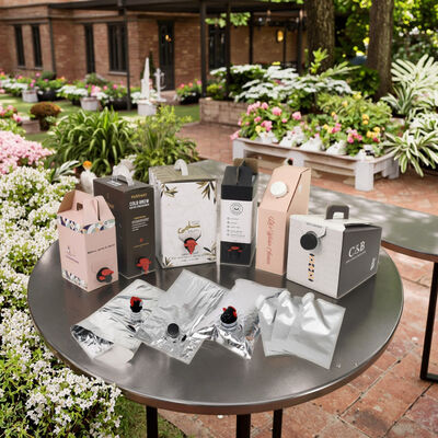 अनुकूलित BIB बैग बॉक्स में सामान के साथ टैप स्पूट वाइन जूस तेल और अन्य तरल उत्पादों की पैकेजिंग के लिए आदर्श